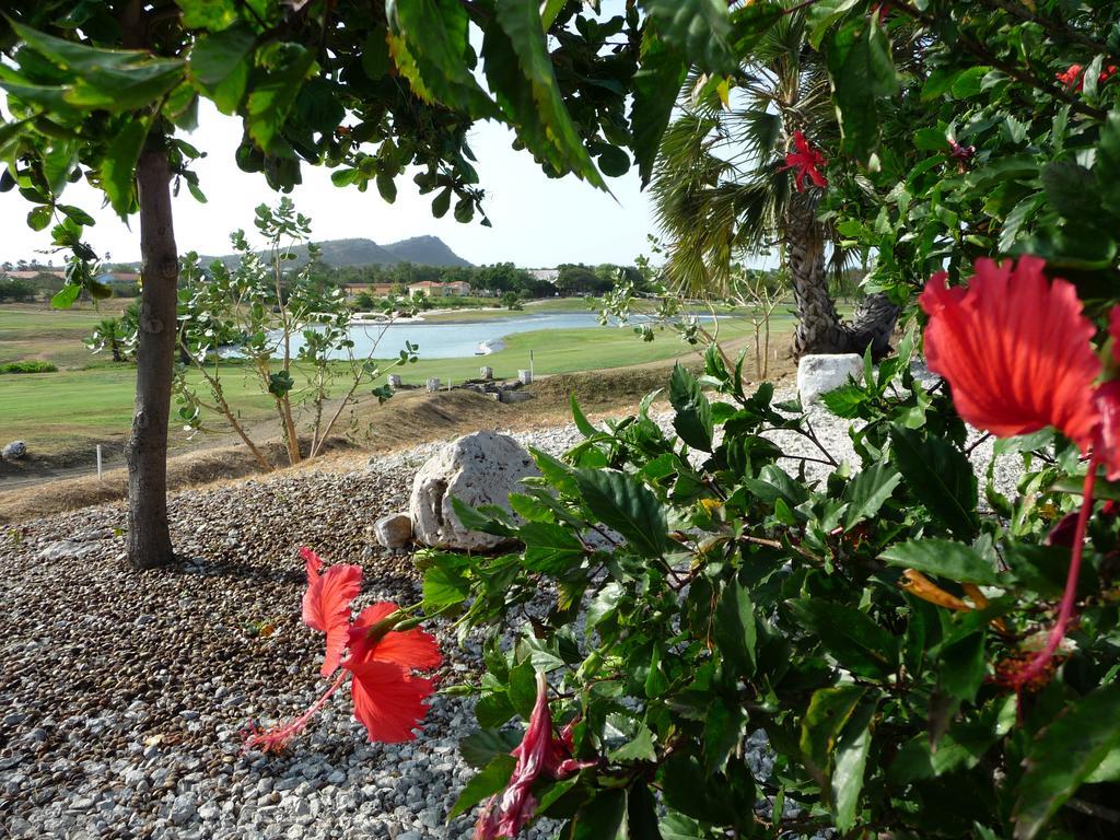 Blue Bay Beach Villa At Pool And Golfcourse ภายนอก รูปภาพ